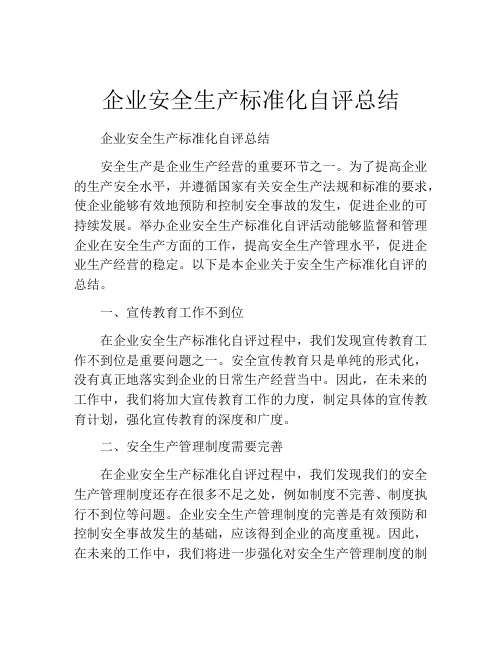 企业安全生产标准化自评总结