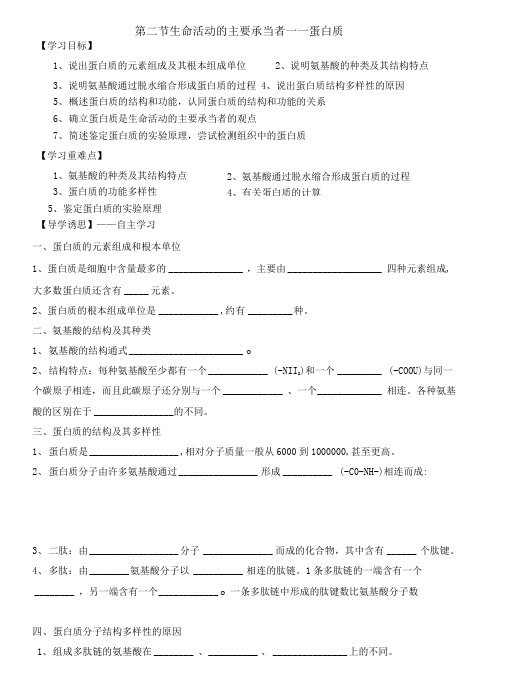 导学案——蛋白质