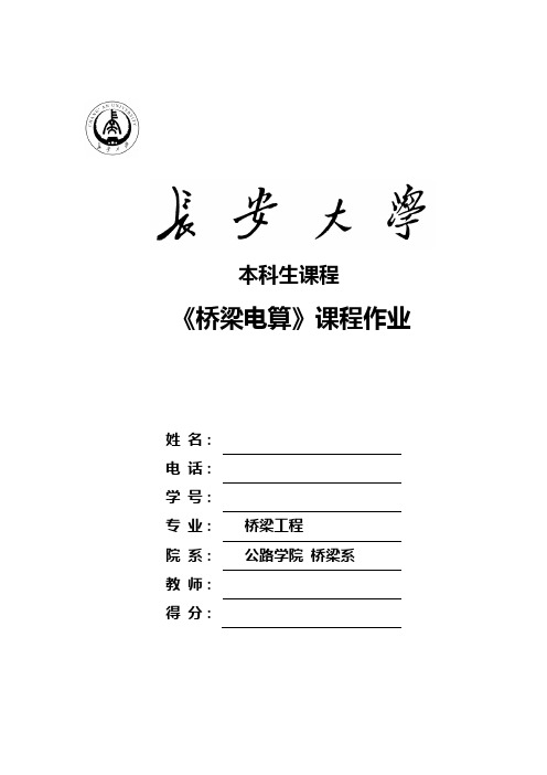 长安大学桥梁工程电算作业电子版