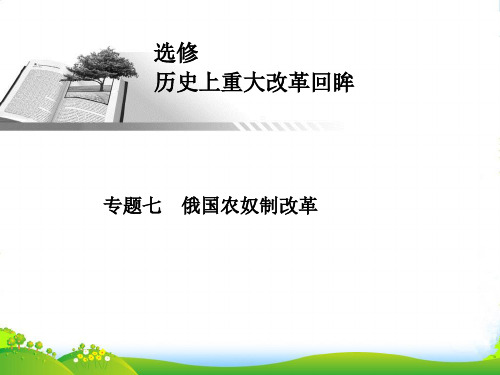 高考历史一轮总复习 俄国农奴制改革课件 人民选修1