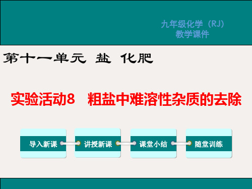 九年级化学下册 第十一单元实验活动8 粗盐中难溶性杂质的去除教学课件 (新版)新人教版