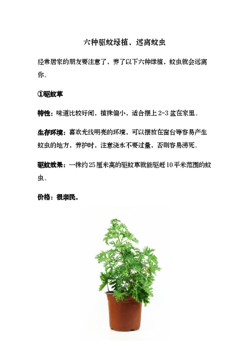 驱蚊绿植排名第一名