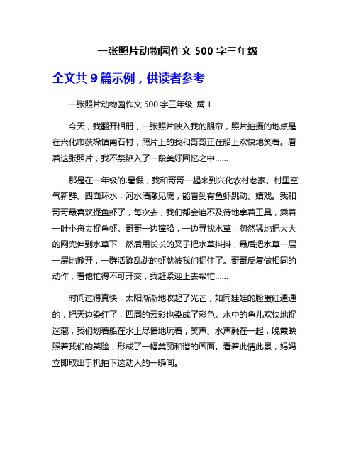 一张照片动物园作文500字三年级