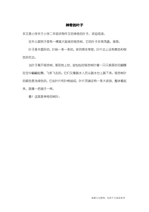 小学二年级状物作文:神奇的叶子