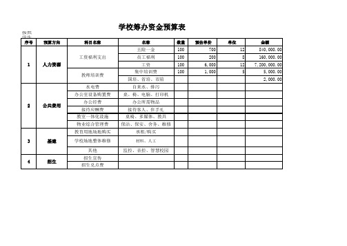 筹建学校资金预算明细表