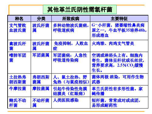 兽医微生物学课件：革兰氏阴性微需氧菌【10】