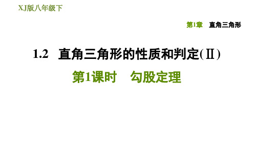 2020-2021学年湘教版八年级下册数学习题课件  1.2.1勾股定理