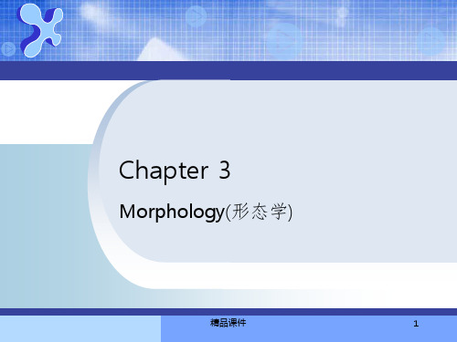 Morphology(形态学)ppt课件