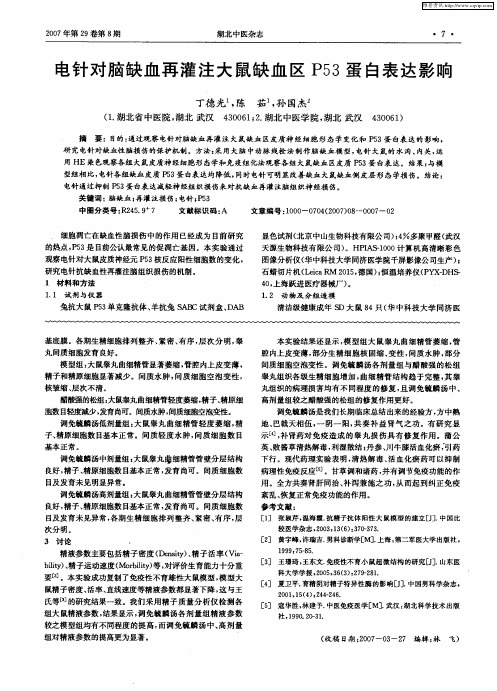 电针对脑缺血再灌注大鼠缺血区P53蛋白表达影响