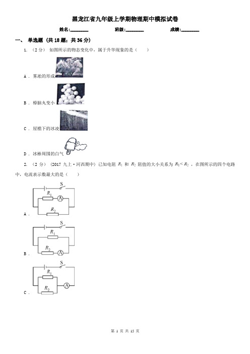 黑龙江省九年级上学期物理期中模拟试卷