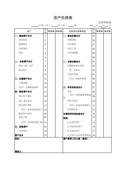 表19资产负债表(集体经济组织填报)