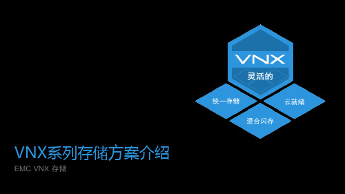 VNX系列存储方案介绍