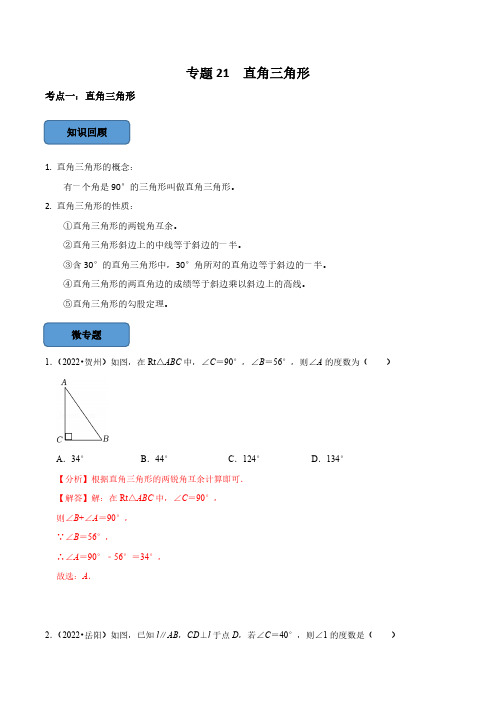 专题21 直角三角形篇(解析版)