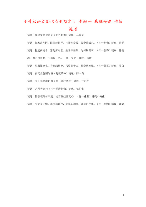 小升初语文知识点专项复习 专题一 基础知识 植物谜语