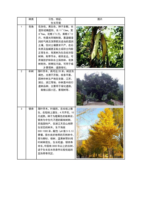 园林植物的习性大全(附图)