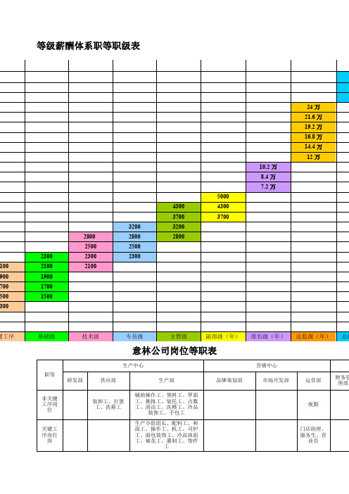 等年级薪酬体系职等职级表