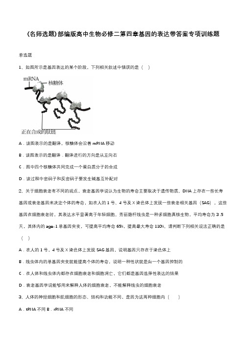 部编版高中生物必修二第四章基因的表达带答案专项训练题