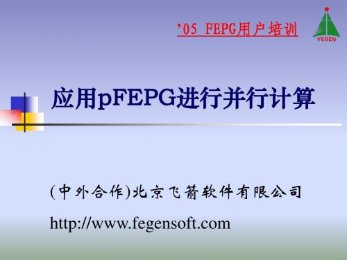 第五讲：应用pFEPG进行并行计算