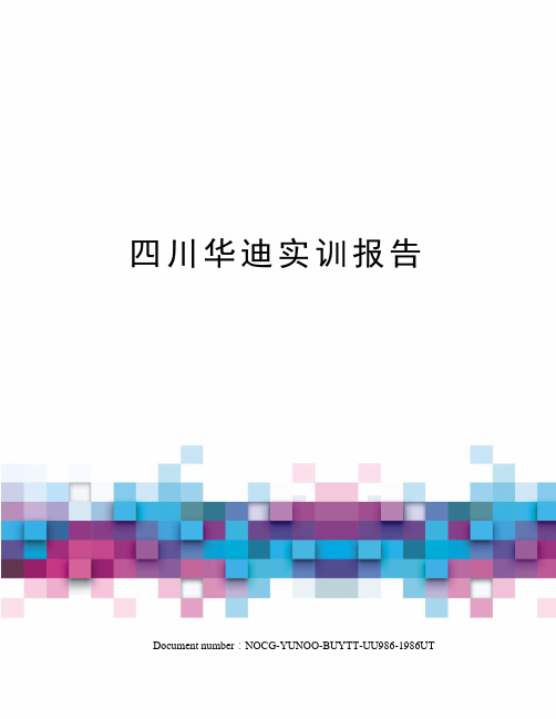 四川华迪实训报告