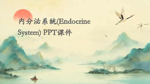 内分泌系统(endocrinesystem)PPT课件