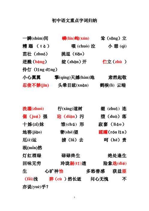 初中语文复习重点字词归纳