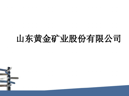 山东黄金矿业股份有限公司财报分析解析解析 资料文档