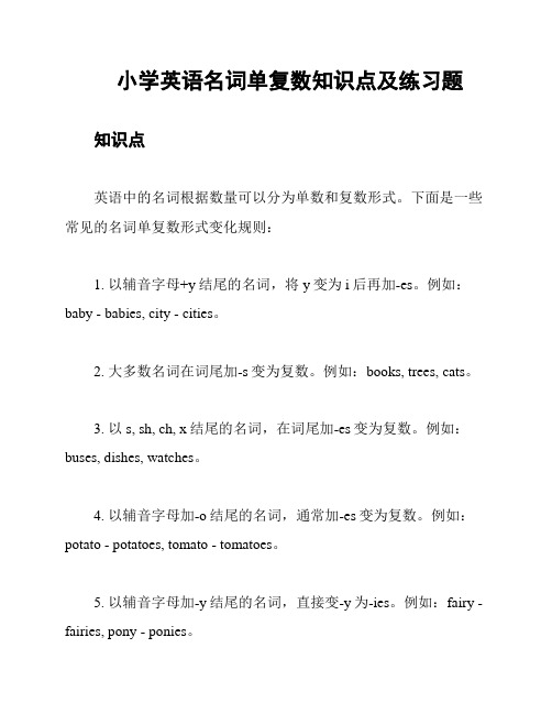 小学英语名词单复数知识点及练习题