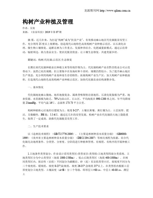 构树产业种植及管理