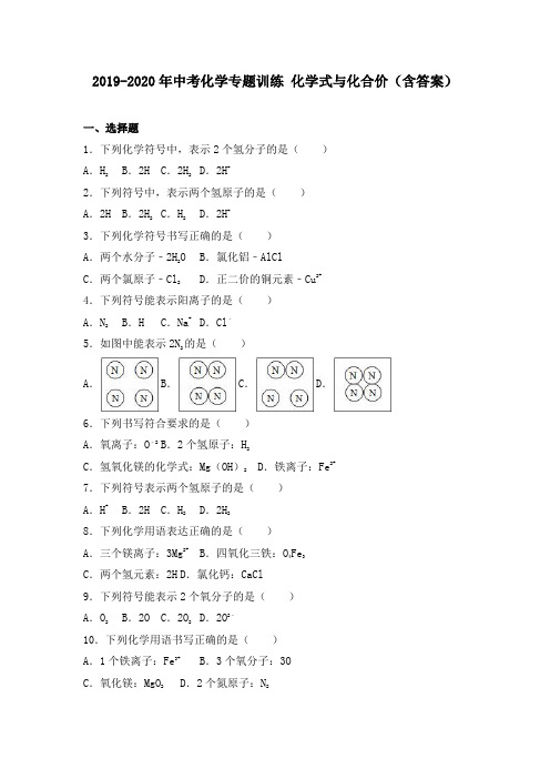 2019-2020年中考化学专题训练 化学式与化合价(含答案)