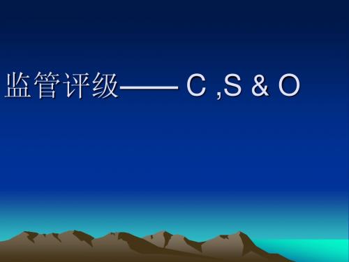 商业银行评级指标(资本、市场风险和其他项)