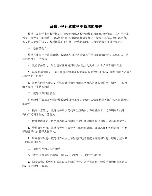 浅谈小学计算教学中数感的培养