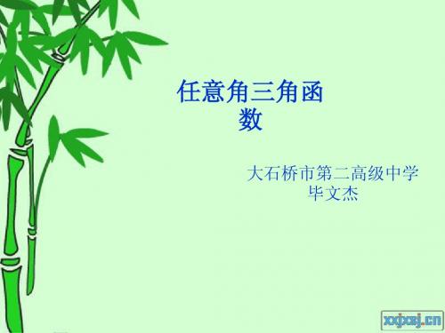 1.2.1任意角的三角函数