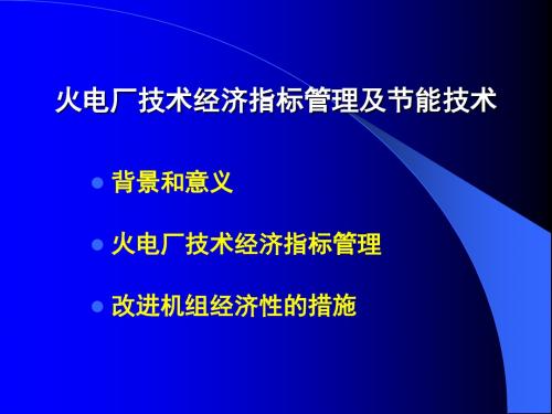 火电厂技术经济指标管理