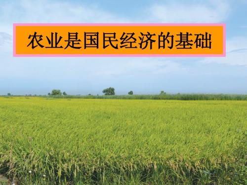 农业是国民经济的基础