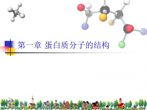 南开大学 分子生物物理-生物分子的相互作用