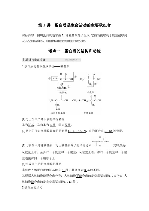 高考生物总复习蛋白质是生命活动的主要承担者课件讲义练习题