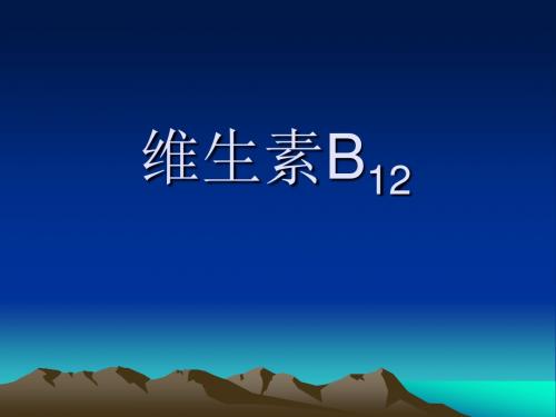 维生素B12