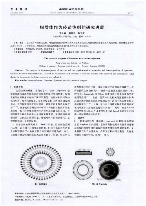 脂质体作为疫苗佐剂的研究进展