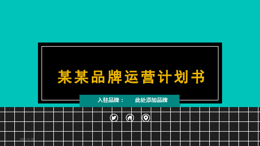 经典赢未来天猫入驻PPT汇报模板