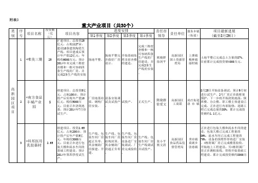 重大基础设施项目