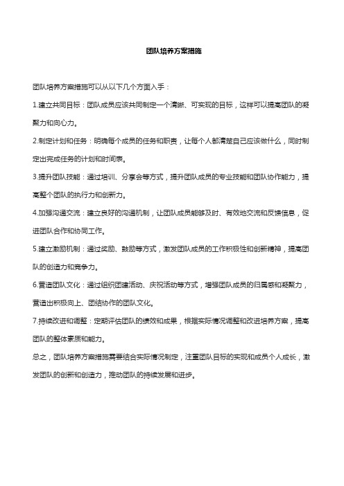 团队培养方案措施