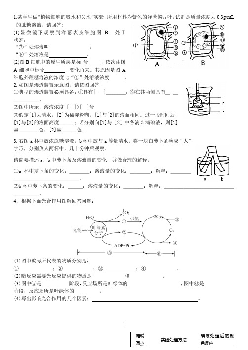 高中生物必修一精选填空题附答案