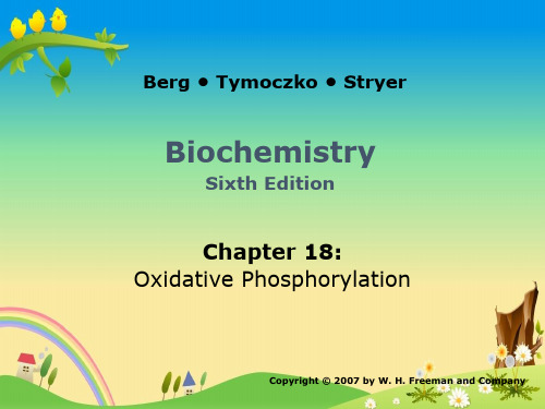 上海交大 生物化学831 精品讲义：18 Oxidative Phosphorylation