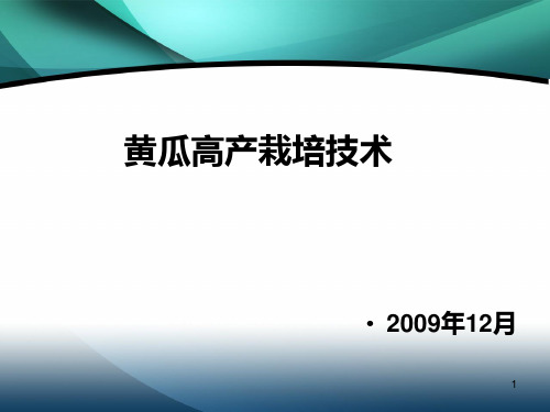 91黄瓜高产栽培技术PPT课件