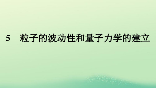 新教材高中物理第4章原子结构和波粒二象性5粒子的波动性和量子力学的建立课件新人教版选择性必修第三册