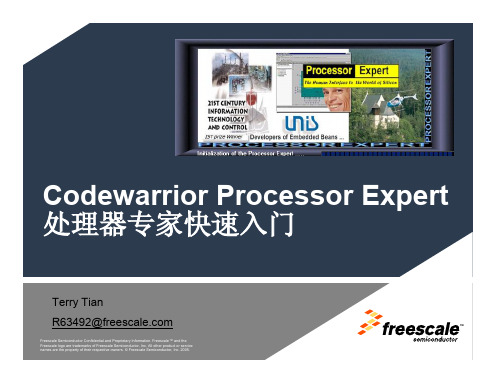 Codewarrior处理器专家快速入门