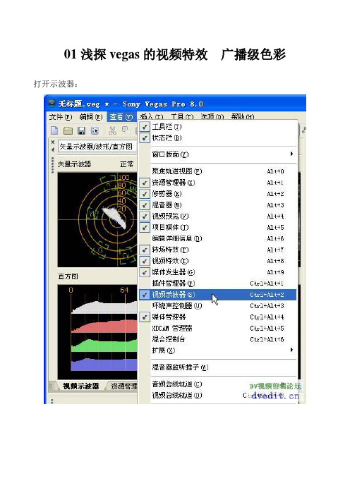 01浅探vegas的视频特效  广播级色彩