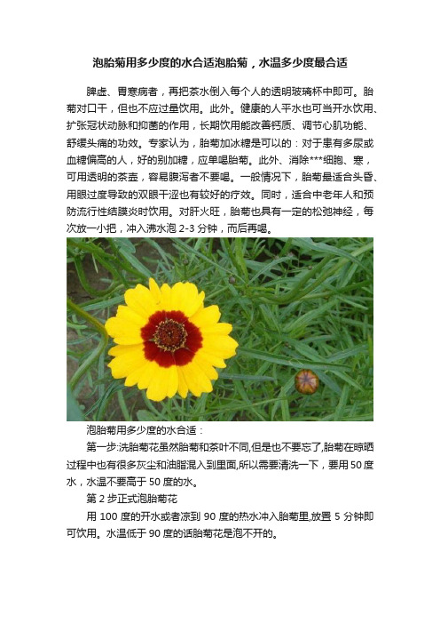 泡胎菊用多少度的水合适泡胎菊，水温多少度最合适