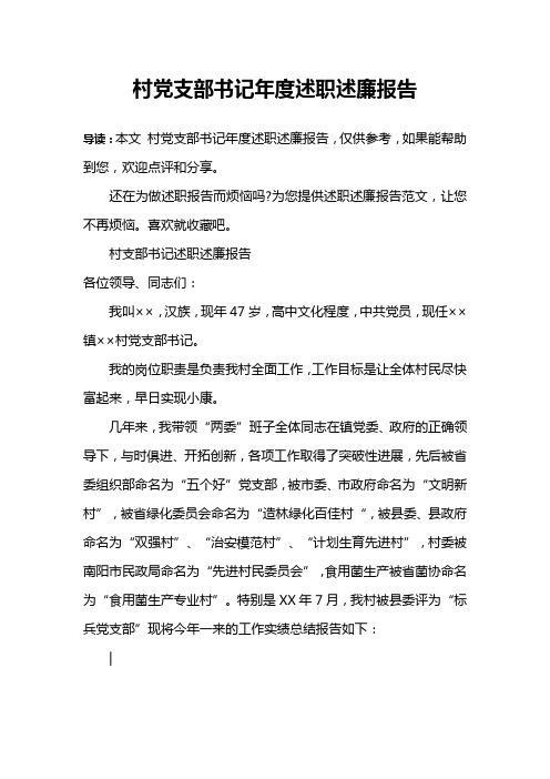 村党支部书记年度述职述廉报告
