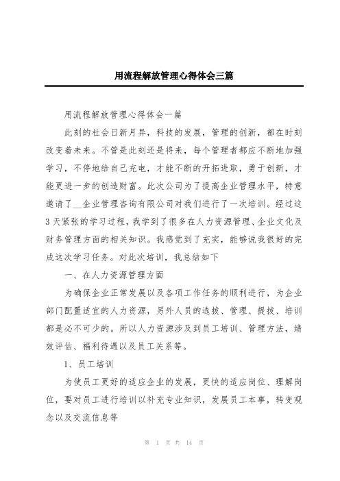 用流程解放管理心得体会三篇